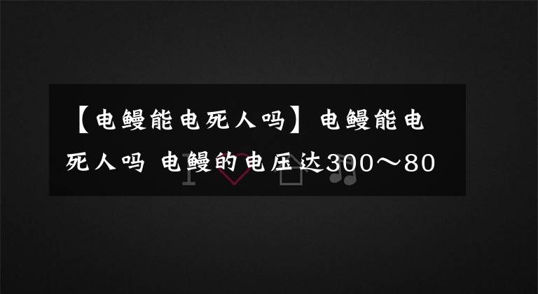 【電鰻能電死人嗎】電鰻能電死人嗎 電鰻的電壓達300～800伏