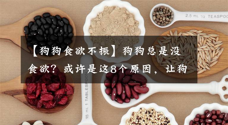 【狗狗食欲不振】狗狗總是沒食欲？或許是這8個原因，讓狗狗胃口慢慢變差！