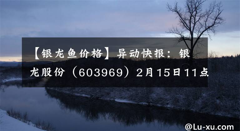 【銀龍魚價格】異動快報：銀龍股份（603969）2月15日11點9分封漲停板