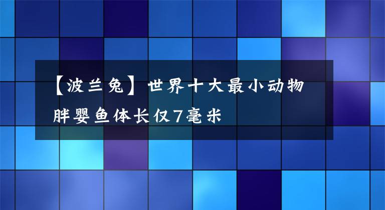 【波蘭兔】世界十大最小動物 胖嬰魚體長僅7毫米