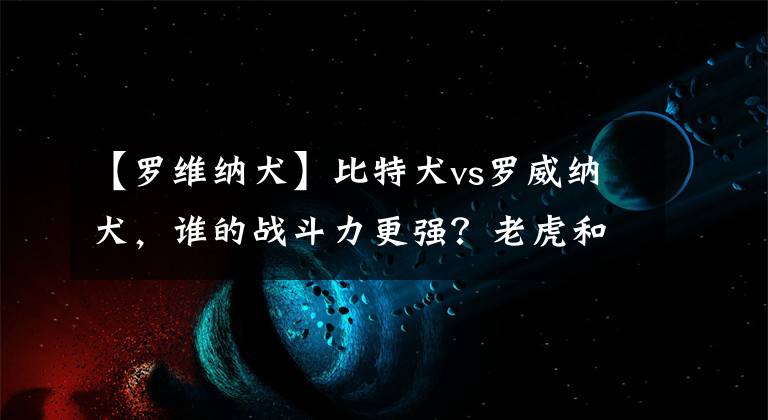 【羅維納犬】比特犬vs羅威納犬，誰的戰(zhàn)斗力更強(qiáng)？老虎和獅子給出了答案