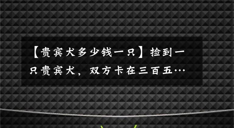 【貴賓犬多少錢一只】撿到一只貴賓犬，雙方卡在三百五……狗主人：“我又沒要她寄！”