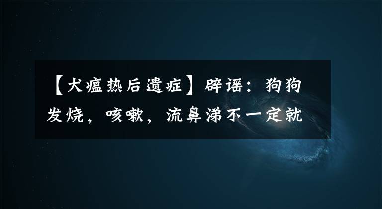 【犬瘟熱后遺癥】辟謠：狗狗發(fā)燒，咳嗽，流鼻涕不一定就是感冒，還有可能是犬瘟熱