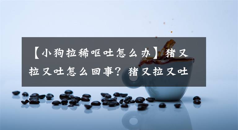 【小狗拉稀嘔吐怎么辦】豬又拉又吐怎么回事？豬又拉又吐怎么治？這三種病要注意