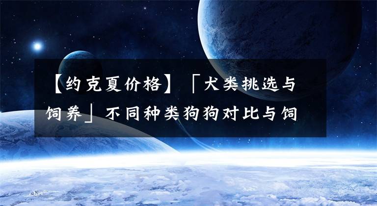 【約克夏價(jià)格】「犬類(lèi)挑選與飼養(yǎng)」不同種類(lèi)狗狗對(duì)比與飼養(yǎng)指南 狗狗種類(lèi)對(duì)比匯總