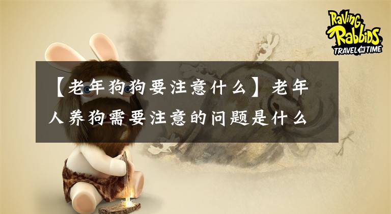 【老年狗狗要注意什么】老年人養(yǎng)狗需要注意的問題是什么？