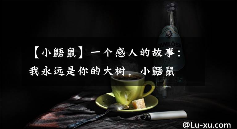 【小鼯鼠】一個(gè)感人的故事：我永遠(yuǎn)是你的大樹，小鼯鼠