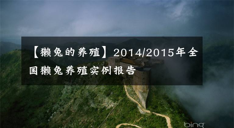 【獺兔的養(yǎng)殖】2014/2015年全國獺兔養(yǎng)殖實例報告