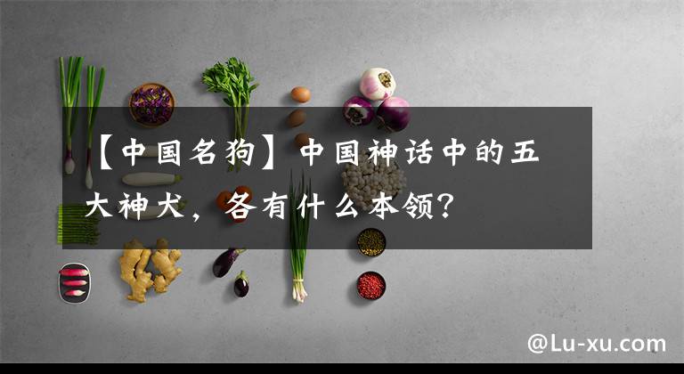 【中國名狗】中國神話中的五大神犬，各有什么本領？