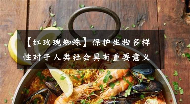 【紅玫瑰蜘蛛】保護(hù)生物多樣性對(duì)于人類社會(huì)具有重要意義