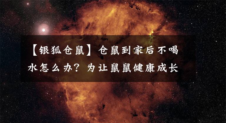 【銀狐倉(cāng)鼠】倉(cāng)鼠到家后不喝水怎么辦？為讓鼠鼠健康成長(zhǎng)，這些措施很有用