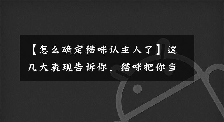 【怎么確定貓咪認(rèn)主人了】這幾大表現(xiàn)告訴你，貓咪把你當(dāng)“親媽”了