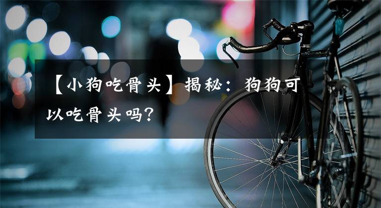 【小狗吃骨頭】揭秘：狗狗可以吃骨頭嗎？