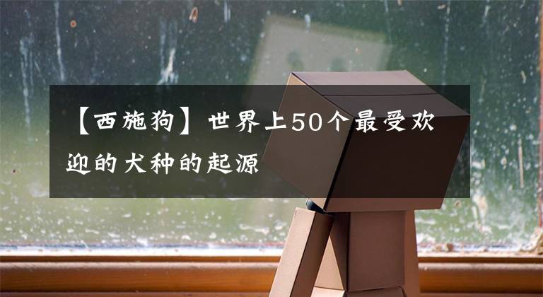 【西施狗】世界上50個最受歡迎的犬種的起源