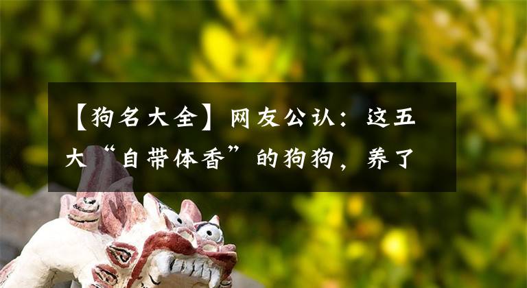 【狗名大全】網(wǎng)友公認：這五大“自帶體香”的狗狗，養(yǎng)了省心