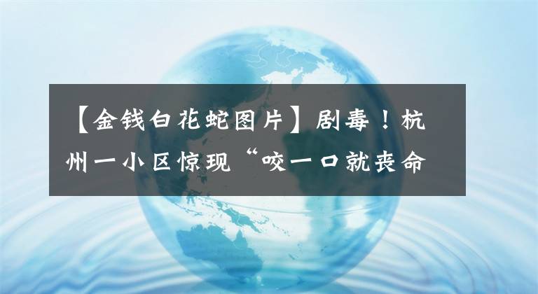 【金錢(qián)白花蛇圖片】劇毒！杭州一小區(qū)驚現(xiàn)“咬一口就喪命”的銀環(huán)蛇，關(guān)鍵時(shí)刻......