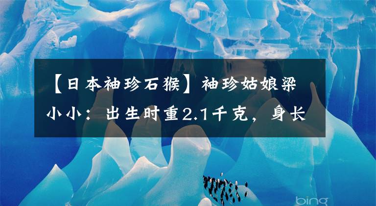 【日本袖珍石猴】袖珍姑娘梁小?。撼錾鷷r(shí)重2.1千克，身長(zhǎng)33厘米，3歲時(shí)停止生長(zhǎng)