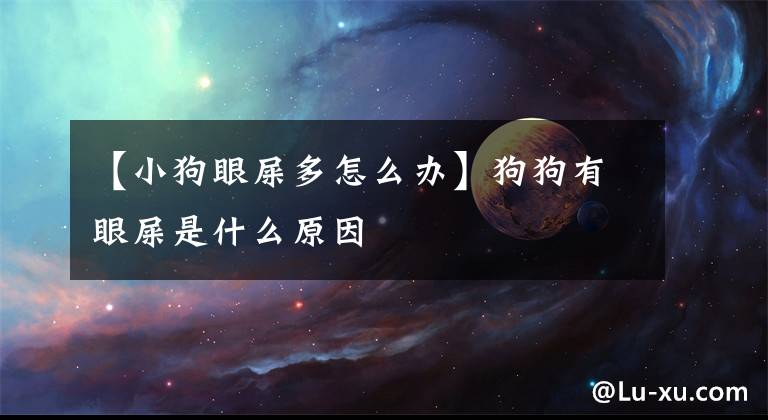 【小狗眼屎多怎么辦】狗狗有眼屎是什么原因