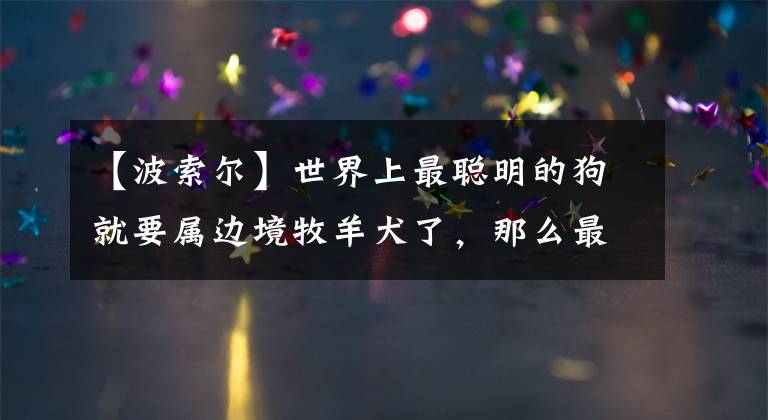 【波索爾】世界上最聰明的狗就要屬邊境牧羊犬了，那么最笨的狗是什么狗呢？