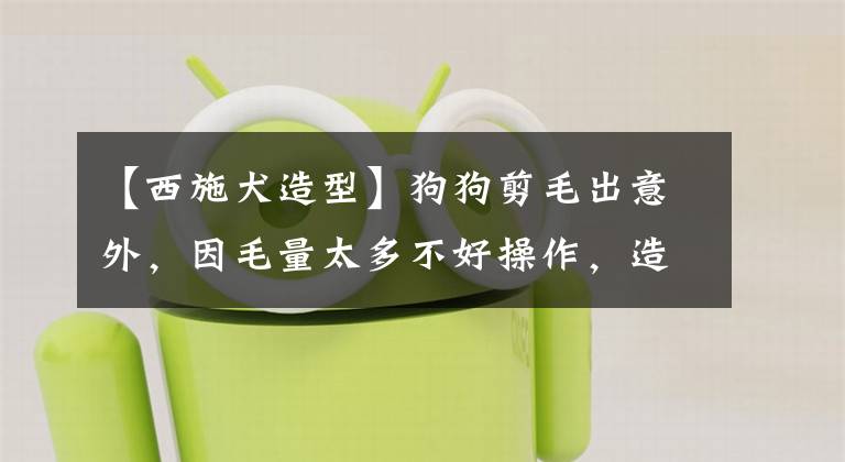 【西施犬造型】狗狗剪毛出意外，因毛量太多不好操作，造型卻與小羊肖恩神似！