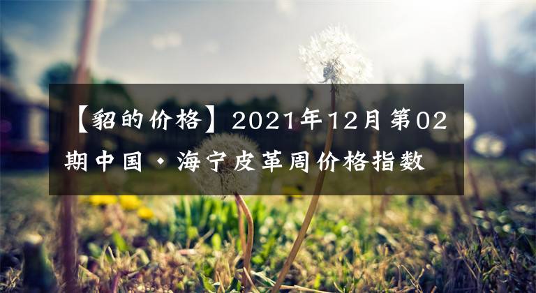 【貂的價格】2021年12月第02期中國?海寧皮革周價格指數(shù)盤點