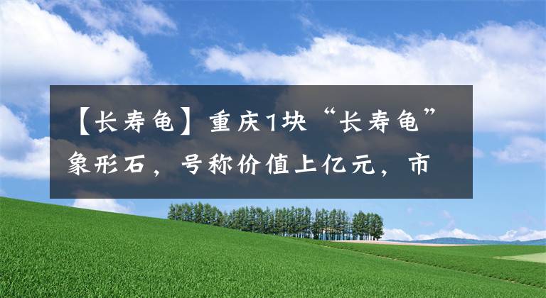 【長壽龜】重慶1塊“長壽龜”象形石，號稱價值上億元，市民看不出哪里值錢