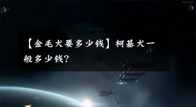 【金毛犬要多少錢】柯基犬一般多少錢？