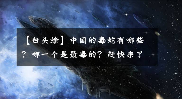 【白頭蝰】中國(guó)的毒蛇有哪些？哪一個(gè)是最毒的？趕快來(lái)了解一下