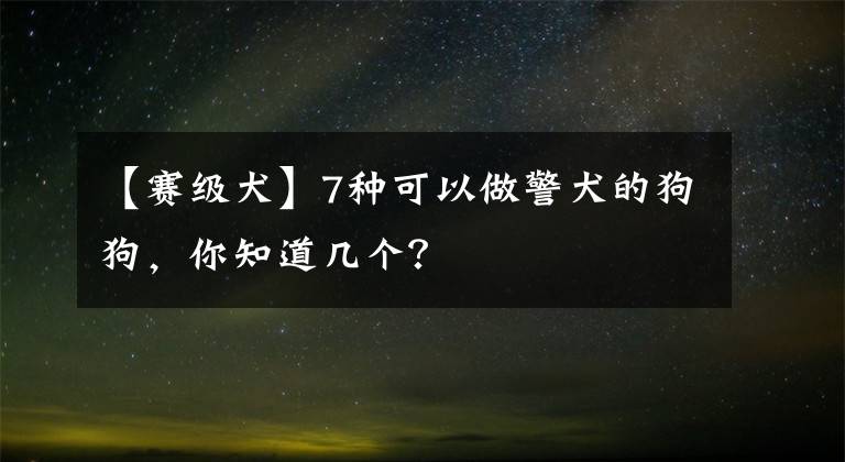 【賽級(jí)犬】7種可以做警犬的狗狗，你知道幾個(gè)？