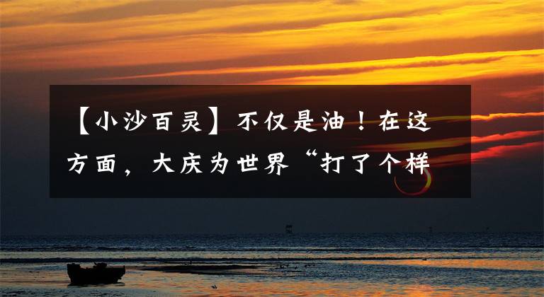 【小沙百靈】不僅是油！在這方面，大慶為世界“打了個(gè)樣兒”