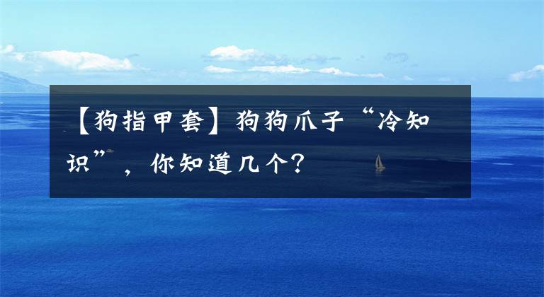 【狗指甲套】狗狗爪子“冷知識”，你知道幾個？