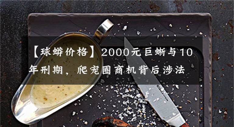 【球蟒價(jià)格】2000元巨蜥與10年刑期，爬寵圈商機(jī)背后涉法之爭