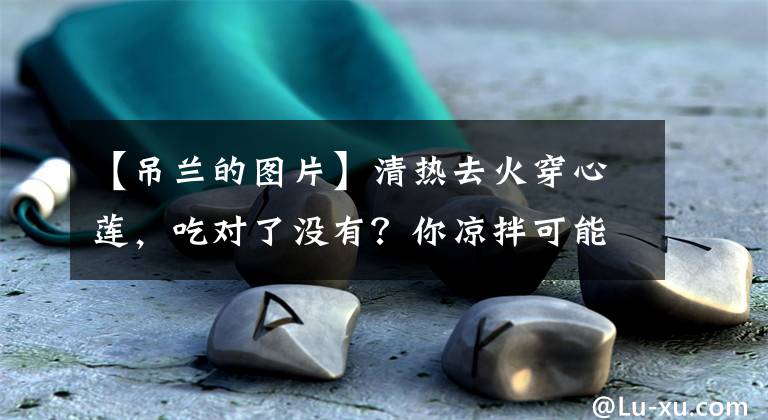 【吊蘭的圖片】清熱去火穿心蓮，吃對了沒有？你涼拌可能是牡丹吊蘭！