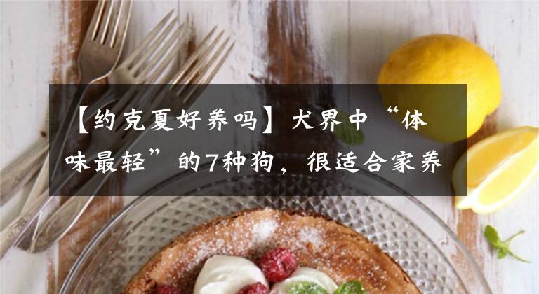 【約克夏好養(yǎng)嗎】犬界中“體味最輕”的7種狗，很適合家養(yǎng)，有你家狗子嗎？