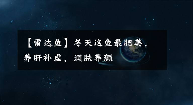 【雷達(dá)魚】冬天這魚最肥美，養(yǎng)肝補(bǔ)虛，潤膚養(yǎng)顏