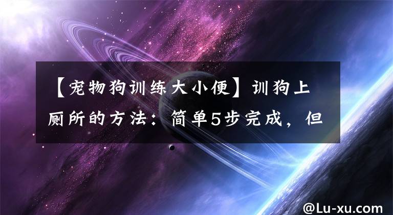 【寵物狗訓(xùn)練大小便】訓(xùn)狗上廁所的方法：簡單5步完成，但需要主人耐心教導(dǎo)狗狗