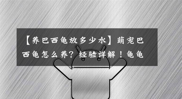 【養(yǎng)巴西龜放多少水】萌寵巴西龜怎么養(yǎng)？經(jīng)驗詳解！龜龜親口告訴你！