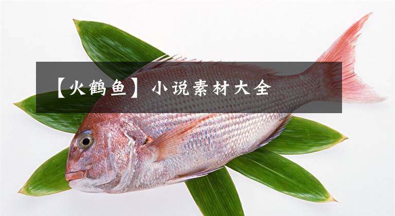 【火鶴魚】小說素材大全