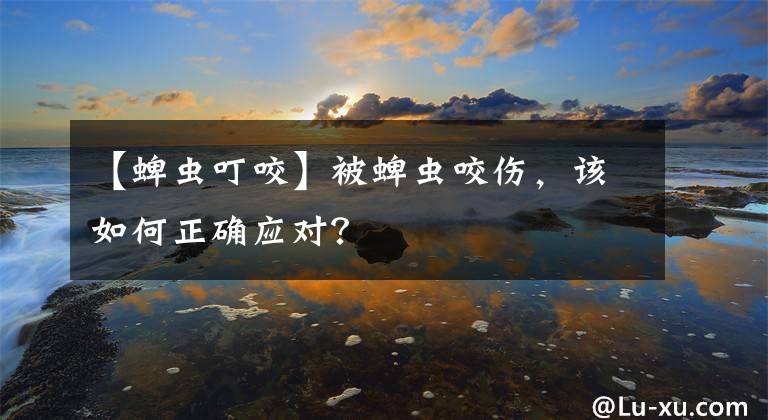 【蜱蟲(chóng)叮咬】被蜱蟲(chóng)咬傷，該如何正確應(yīng)對(duì)？