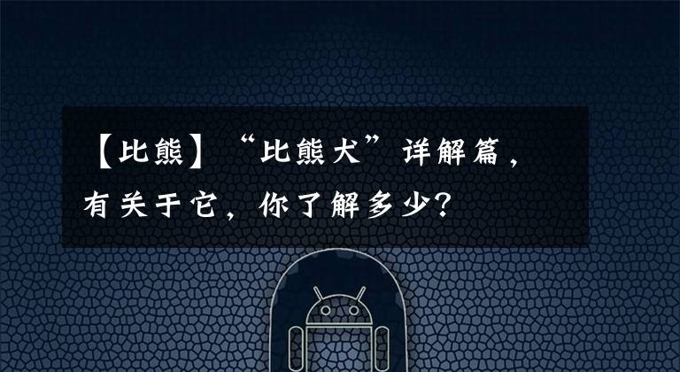 【比熊】“比熊犬”詳解篇，有關(guān)于它，你了解多少？