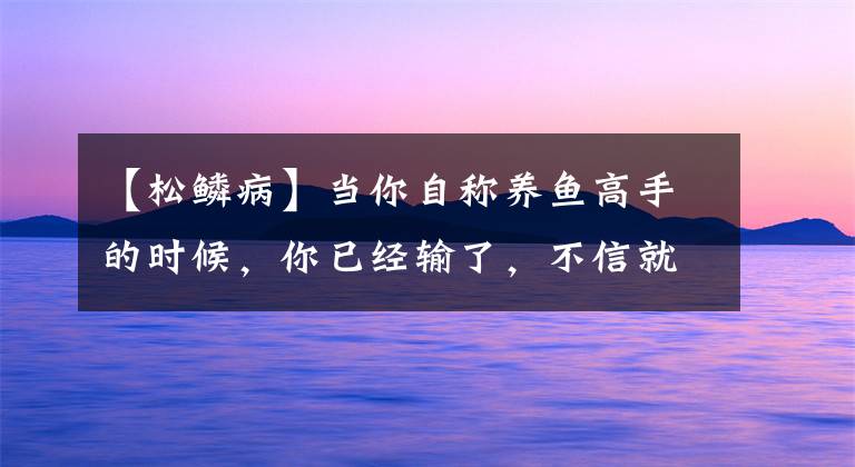 【松鱗病】當(dāng)你自稱養(yǎng)魚高手的時(shí)候，你已經(jīng)輸了，不信就請(qǐng)您回答這三個(gè)問題