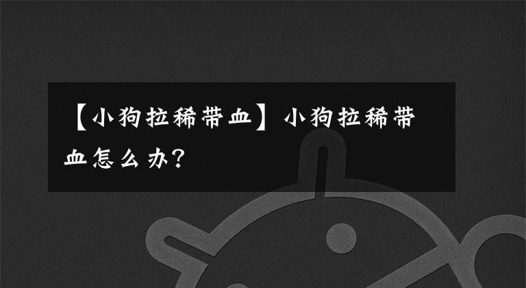 【小狗拉稀帶血】小狗拉稀帶血怎么辦？