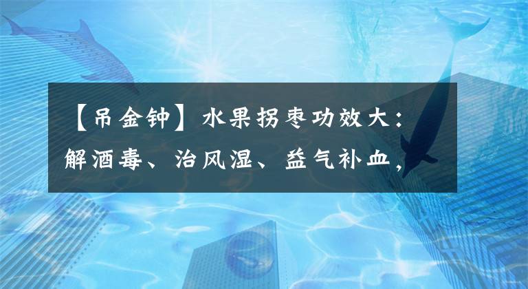 【吊金鐘】水果拐棗功效大：解酒毒、治風(fēng)濕、益氣補血，老少皆宜