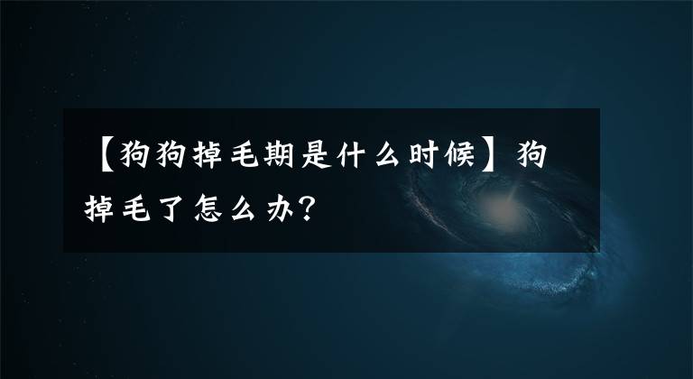 【狗狗掉毛期是什么時候】狗掉毛了怎么辦？