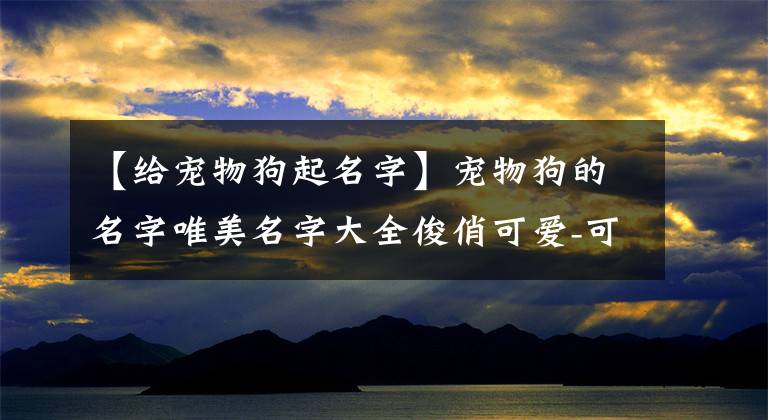 【給寵物狗起名字】寵物狗的名字唯美名字大全俊俏可愛-可愛點(diǎn)