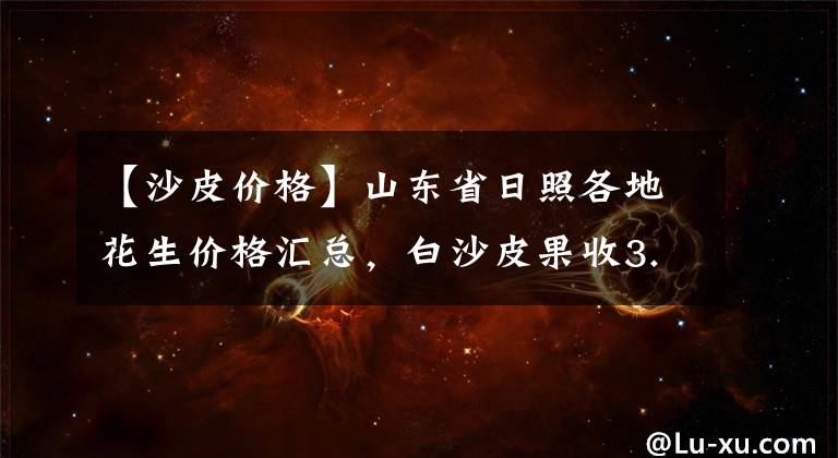 【沙皮價格】山東省日照各地花生價格匯總，白沙皮果收3.0元/斤左右