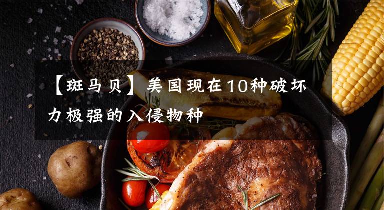 【斑馬貝】美國現(xiàn)在10種破壞力極強的入侵物種