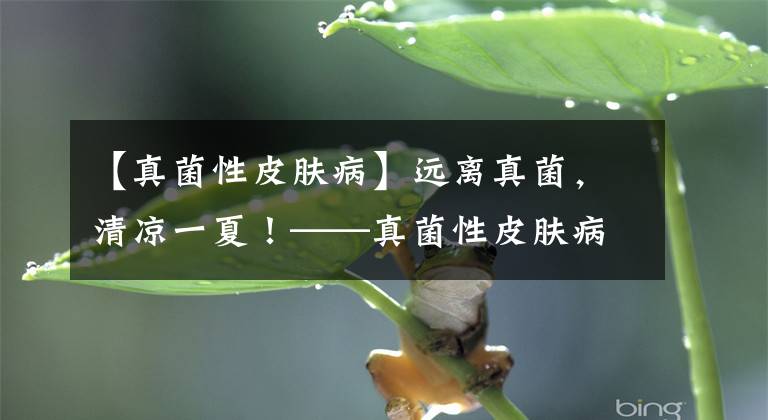 【真菌性皮膚病】遠(yuǎn)離真菌，清涼一夏！——真菌性皮膚病