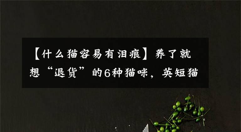 【什么貓容易有淚痕】養(yǎng)了就想“退貨”的6種貓咪，英短貓上榜，有你家主子嗎？