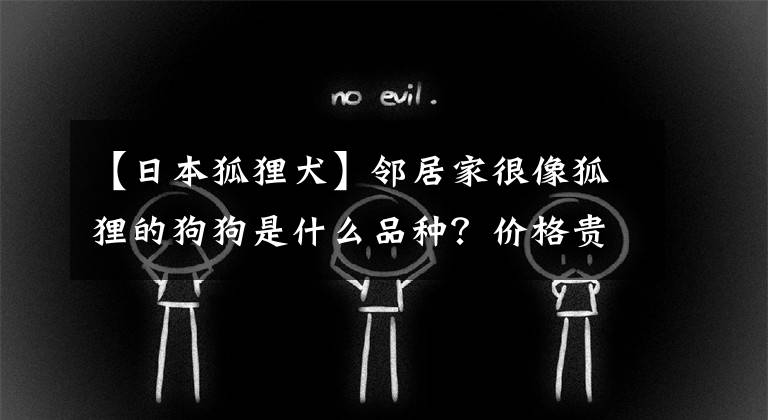 【日本狐貍?cè)苦従蛹液芟窈偟墓饭肥鞘裁雌贩N？?jī)r(jià)格貴不貴??？